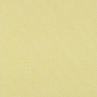 parotega tex  500 out of stock