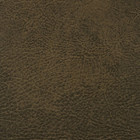 pavinto  603
