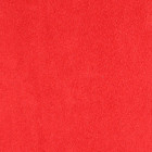 reginearca  305