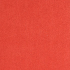 reginearca  310