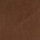reginearca  405