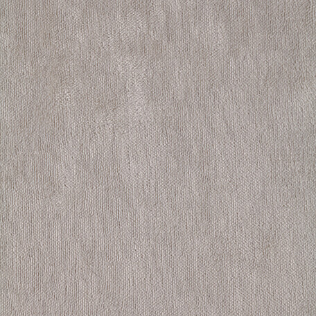 fenice  102