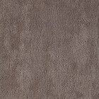fenice  105