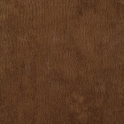 fenice  407