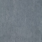 fenice  705