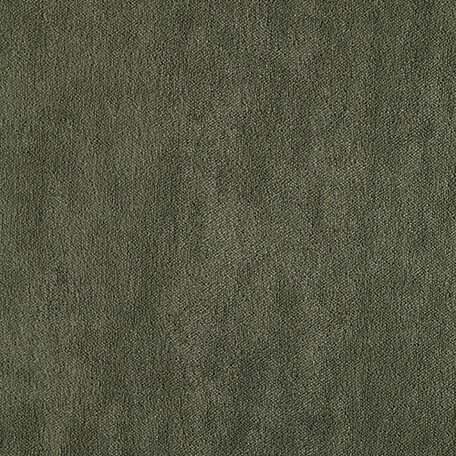 fenice  801