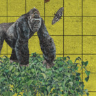 aida st04 jungle jum 500