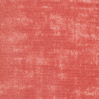 elegance wall 300