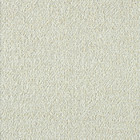 konjac grisaglia 100