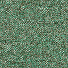 konjac grisaglia 804