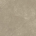 smart stone